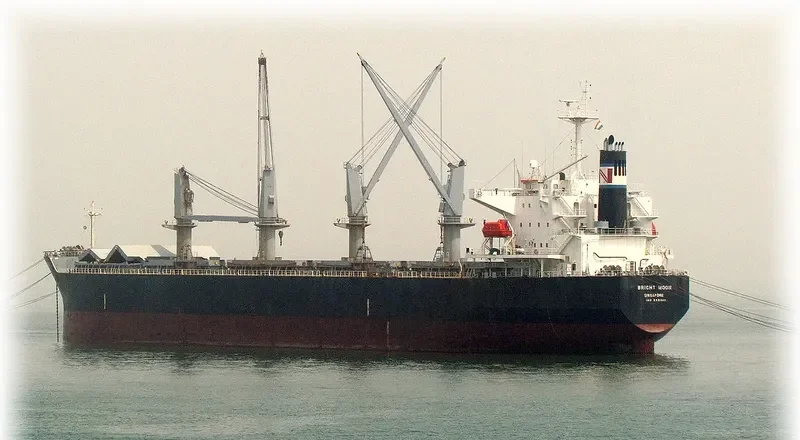 CHRISTINAB Bulk Carrier IMO 9331921 photo 6