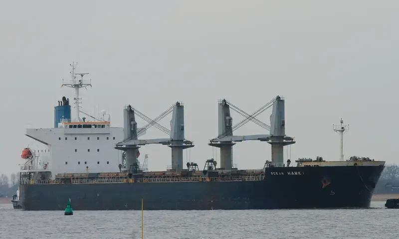 BAO CHUAN Bulk Carrier IMO 9331933 photo 2