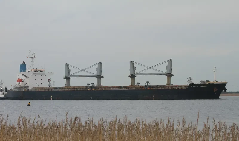 BAO CHUAN Bulk Carrier IMO 9331933 photo 3