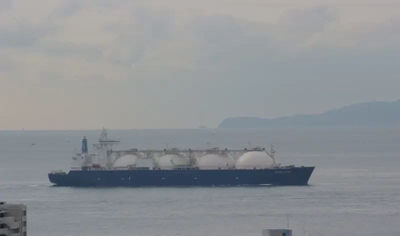 GRAND ELENA General Cargo IMO 9332054 photo 6