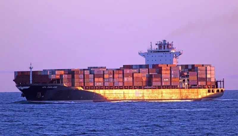 NAVIOS MAGNOLIA Container Ship IMO 9332250 photo 3