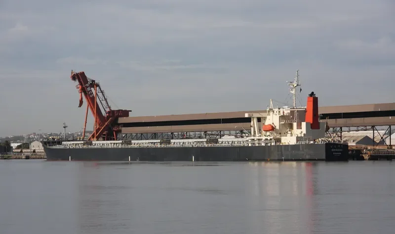 ISHIZUCHI Bulk Carrier IMO 9332793 photo 7