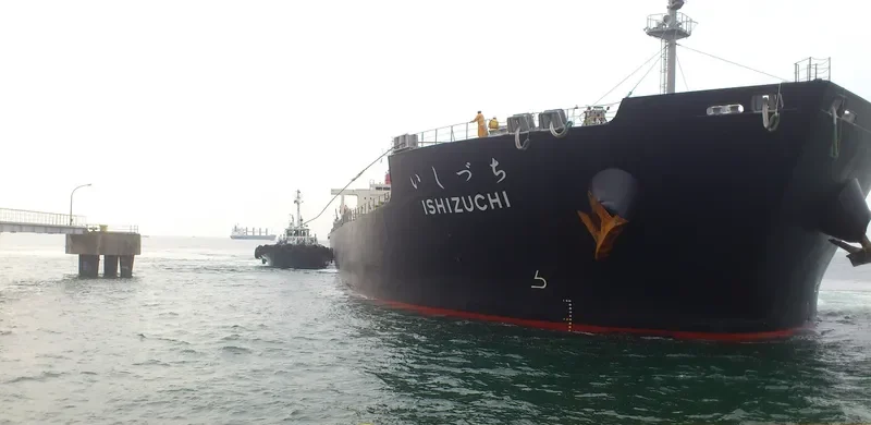 ISHIZUCHI Bulk Carrier IMO 9332793 photo 8