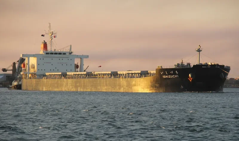 ISHIZUCHI Bulk Carrier IMO 9332793 photo 9