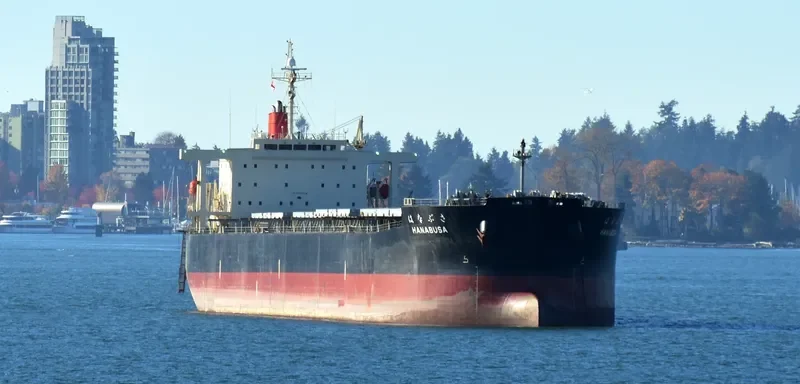 HANABUSA Bulk Carrier IMO 9332808