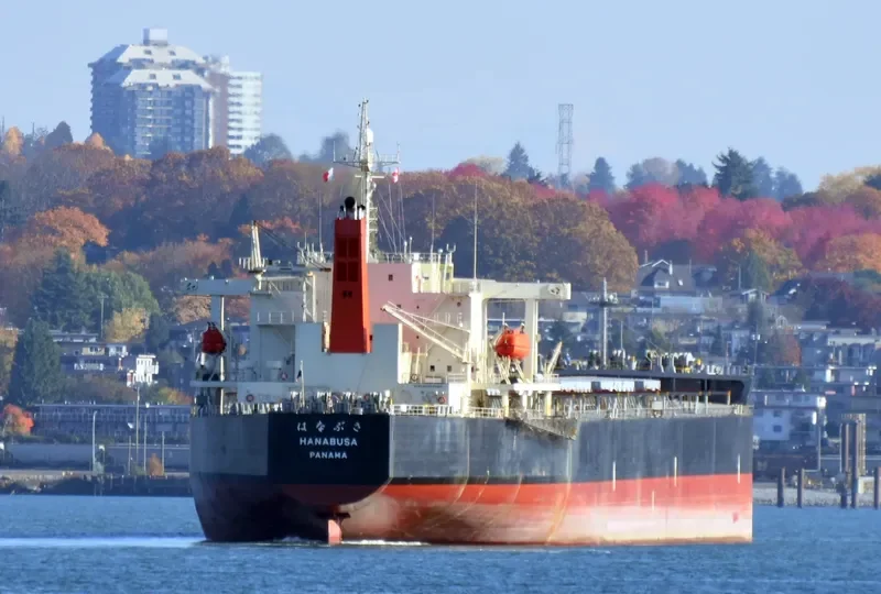 HANABUSA Bulk Carrier IMO 9332808 photo 3