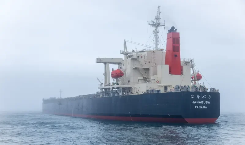 HANABUSA Bulk Carrier IMO 9332808 photo 6