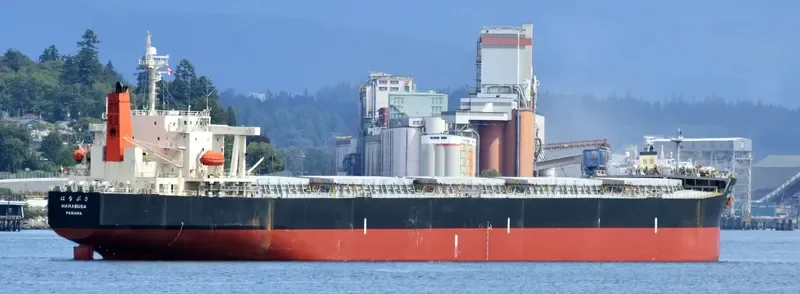 HANABUSA Bulk Carrier IMO 9332808 photo 9