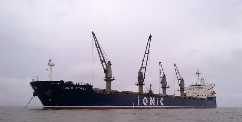 IONIC STORM Bulk Carrier IMO 9332963 photo 2