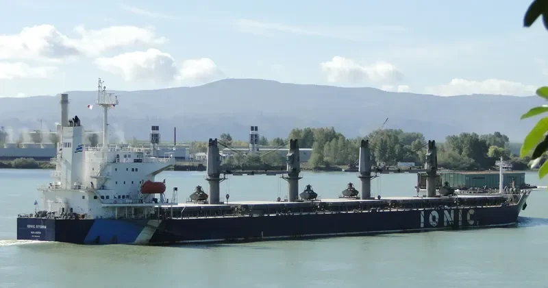 IONIC STORM Bulk Carrier IMO 9332963 photo 4