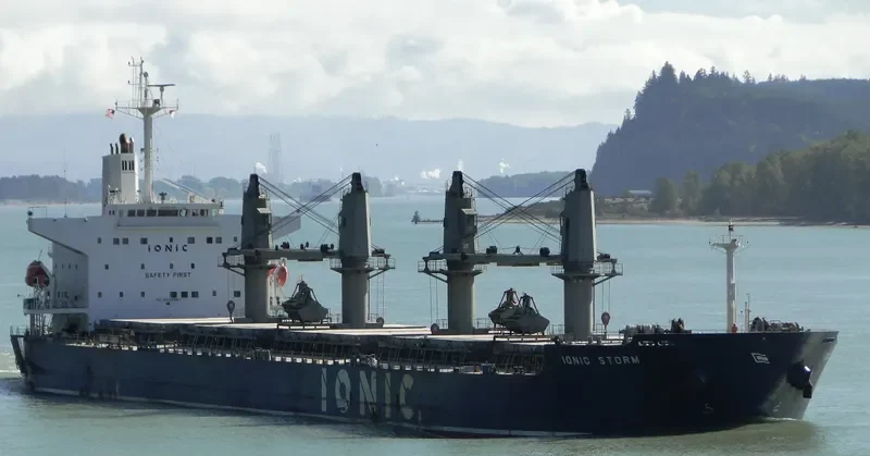 IONIC STORM Bulk Carrier IMO 9332963 photo 5