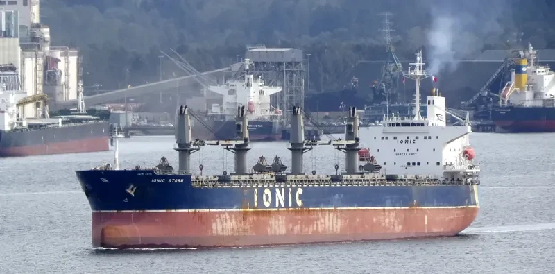 IONIC STORM Bulk Carrier IMO 9332963 photo 8