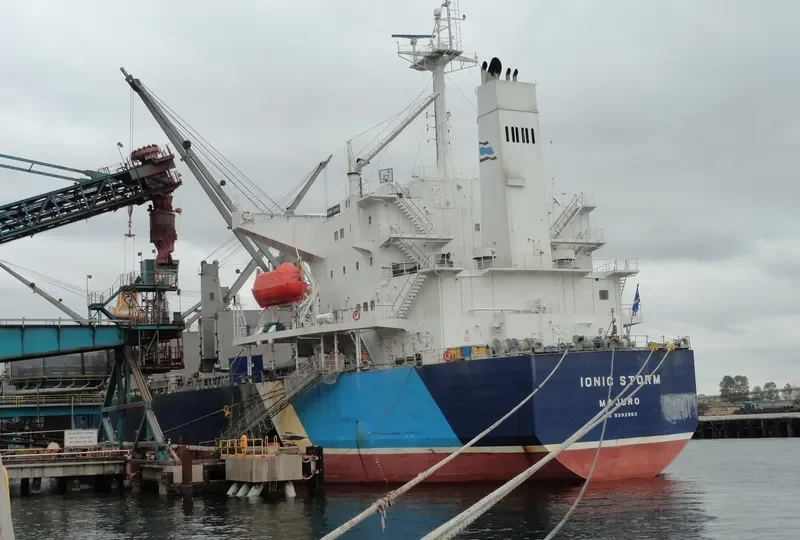 IONIC STORM Bulk Carrier IMO 9332963 photo 9