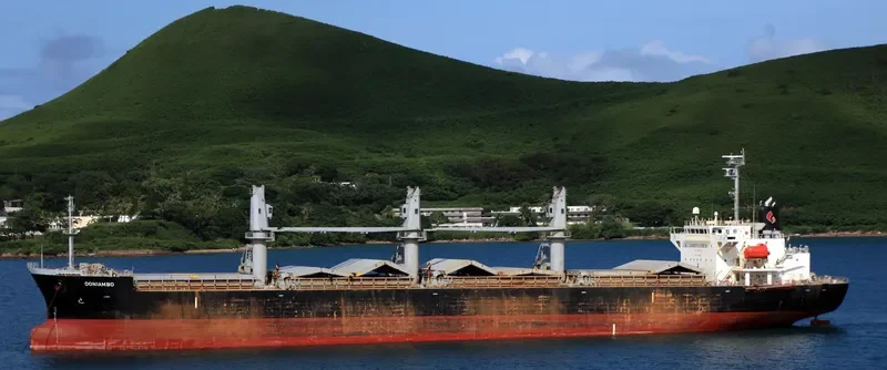 DONIAMBO Bulk Carrier IMO 9333101