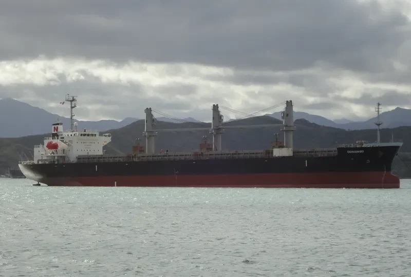 DONIAMBO Bulk Carrier IMO 9333101 photo 8