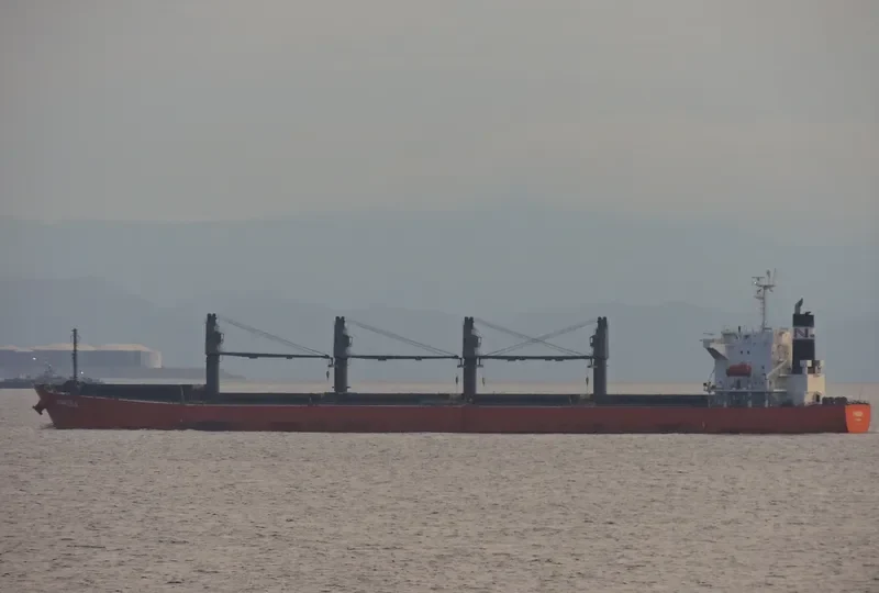 NPS MOSA Bulk Carrier IMO 9333266 photo 5