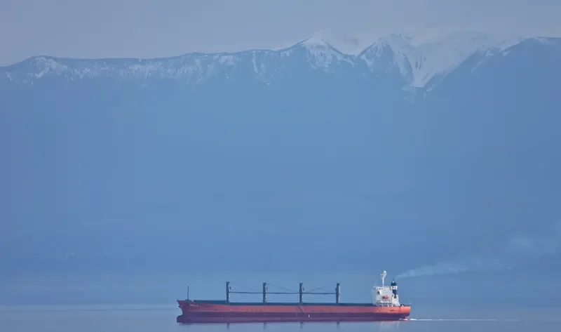 NPS MOSA Bulk Carrier IMO 9333266 photo 6