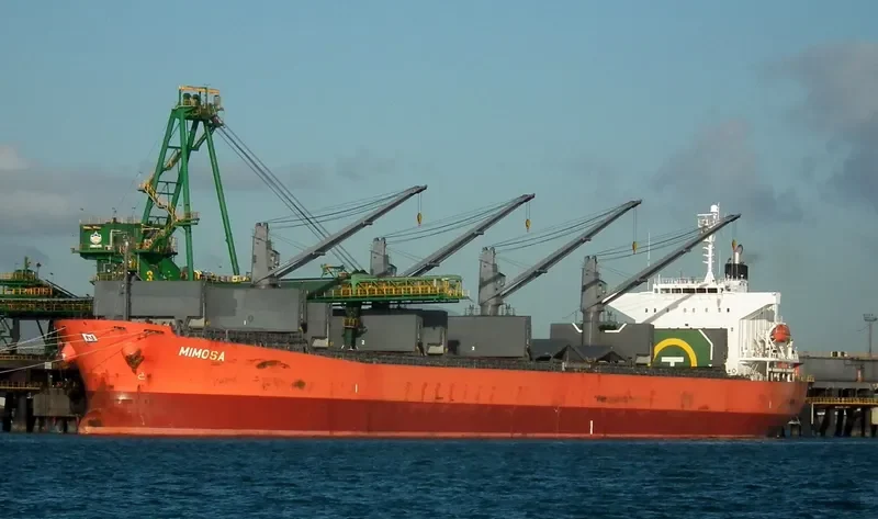 NPS MOSA Bulk Carrier IMO 9333266 photo 7