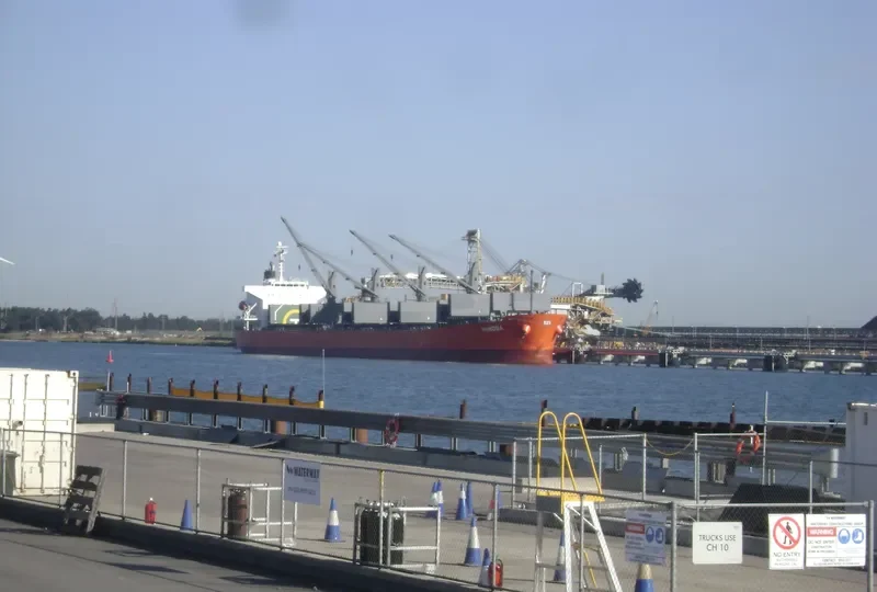 NPS MOSA Bulk Carrier IMO 9333266 photo 8