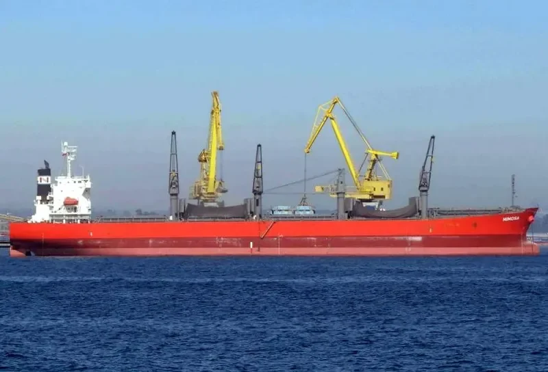 NPS MOSA Bulk Carrier IMO 9333266 photo 10