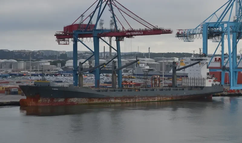 VIONA Container Ship IMO 9333369 photo 2
