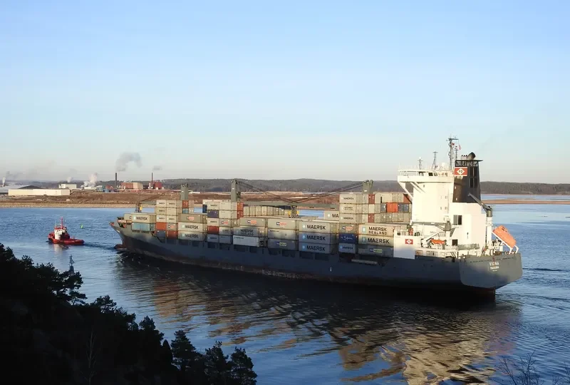 VIONA Container Ship IMO 9333369 photo 10