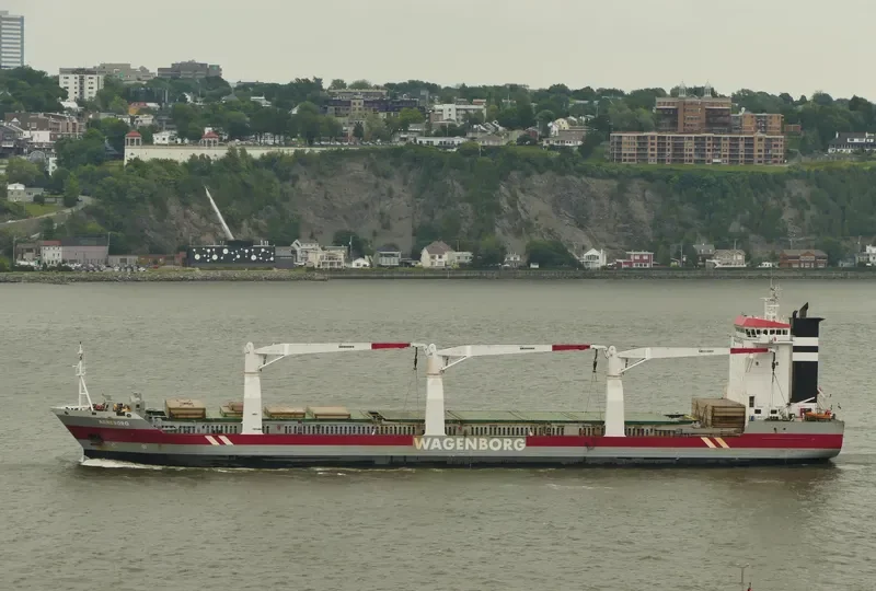 ARNEBORG General Cargo IMO 9333539 photo 4