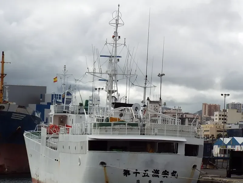 RYOAN MARU NO.15 General Cargo IMO 9333723 photo 5