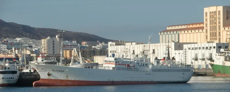 RYOAN MARU NO.15 General Cargo IMO 9333723 photo 7