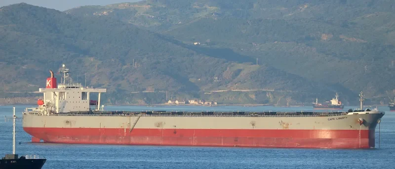 AQUAKATANA Bulk Carrier IMO 9333797