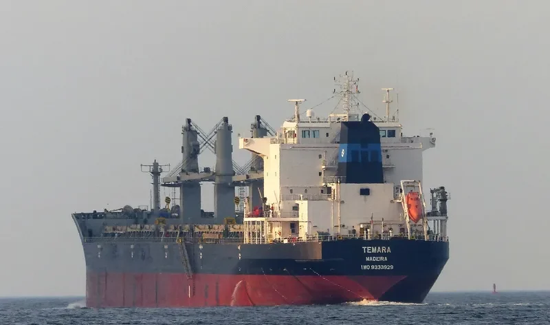 LUCKY SOURCE Bulk Carrier IMO 9333929