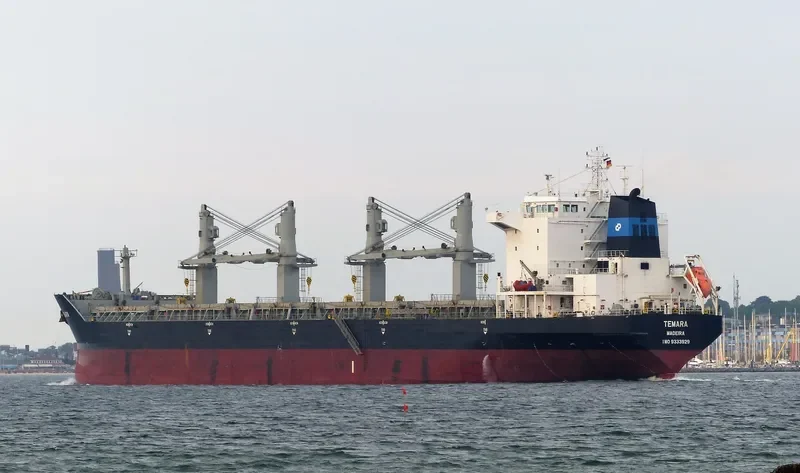 LUCKY SOURCE Bulk Carrier IMO 9333929 photo 2