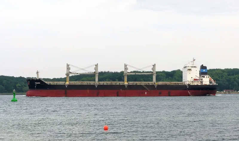 LUCKY SOURCE Bulk Carrier IMO 9333929 photo 3