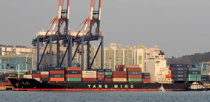 YM INTERACTION Container Ship IMO 9333993