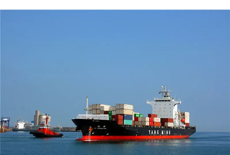YM INTERACTION Container Ship IMO 9333993 photo 6