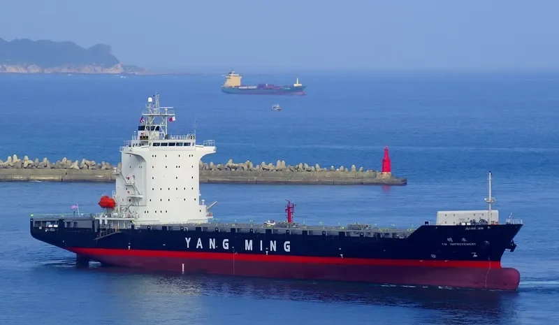 YM IMPROVEMENT Container Ship IMO 9334014 photo 3