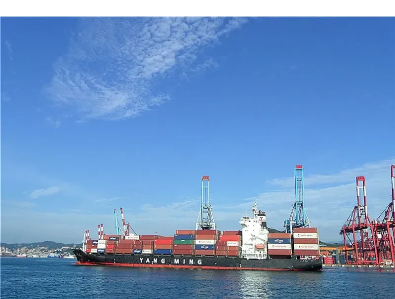 YM IMPROVEMENT Container Ship IMO 9334014 photo 5