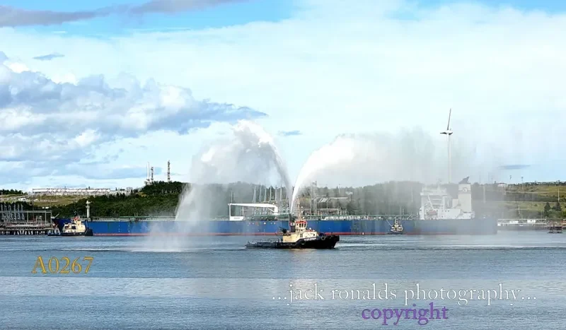 SVITZER BEDFORD General Cargo IMO 9334090 photo 5
