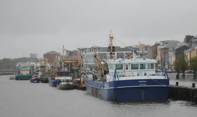 HIBERNIA General Cargo IMO 9334258 photo 5