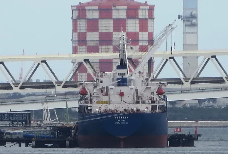 PVT AROMA Bulk Carrier IMO 9334480 photo 6