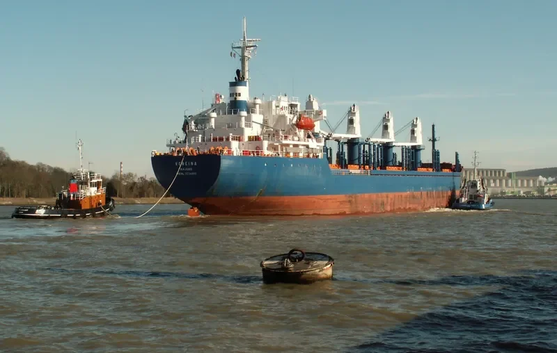 PVT AROMA Bulk Carrier IMO 9334480 photo 7