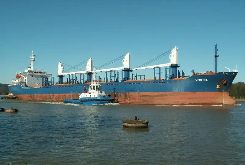 PVT AROMA Bulk Carrier IMO 9334480 photo 8