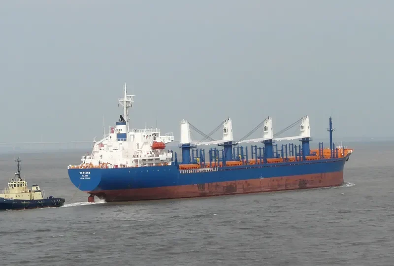 PVT AROMA Bulk Carrier IMO 9334480 photo 9