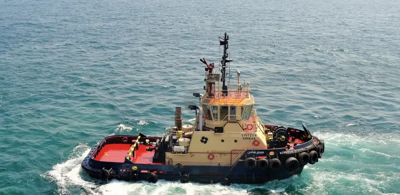 SVITZER SHINAS General Cargo IMO 9334650 photo 2