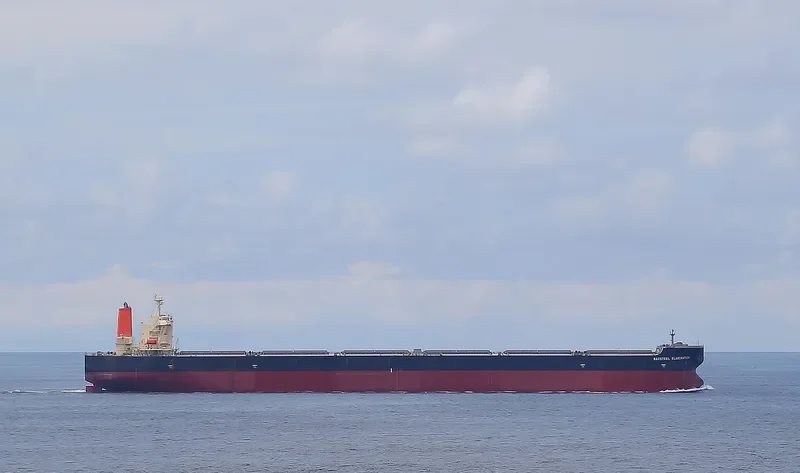 BAOSTEEL ELABORATION Bulk Carrier IMO 9334870