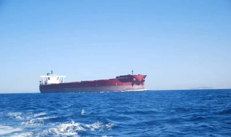 ABIGAIL N Bulk Carrier IMO 9334882 photo 8