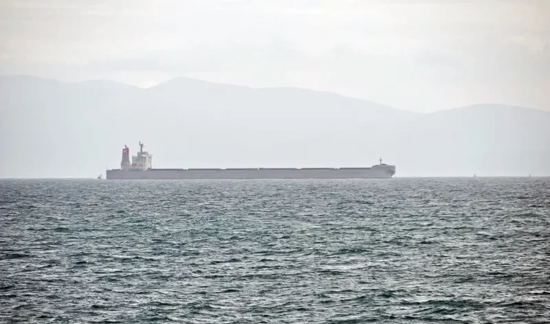 RIGEL Bulk Carrier IMO 9334894