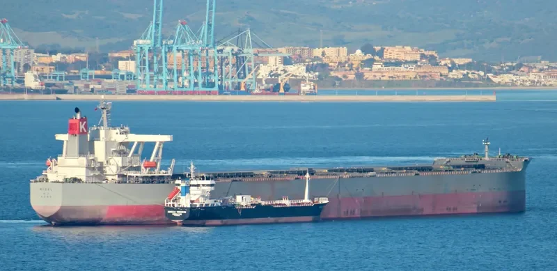 RIGEL Bulk Carrier IMO 9334894 photo 3