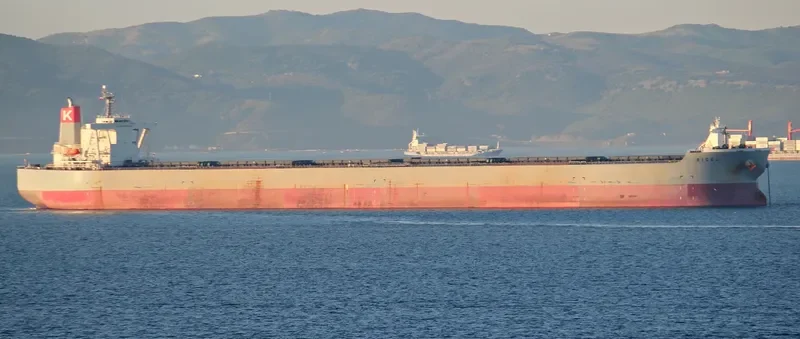 RIGEL Bulk Carrier IMO 9334894 photo 4