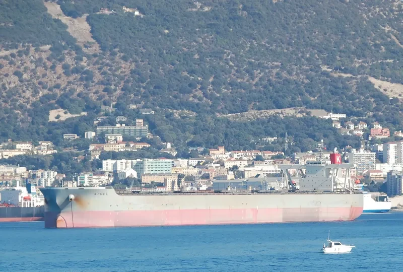 RIGEL Bulk Carrier IMO 9334894 photo 7